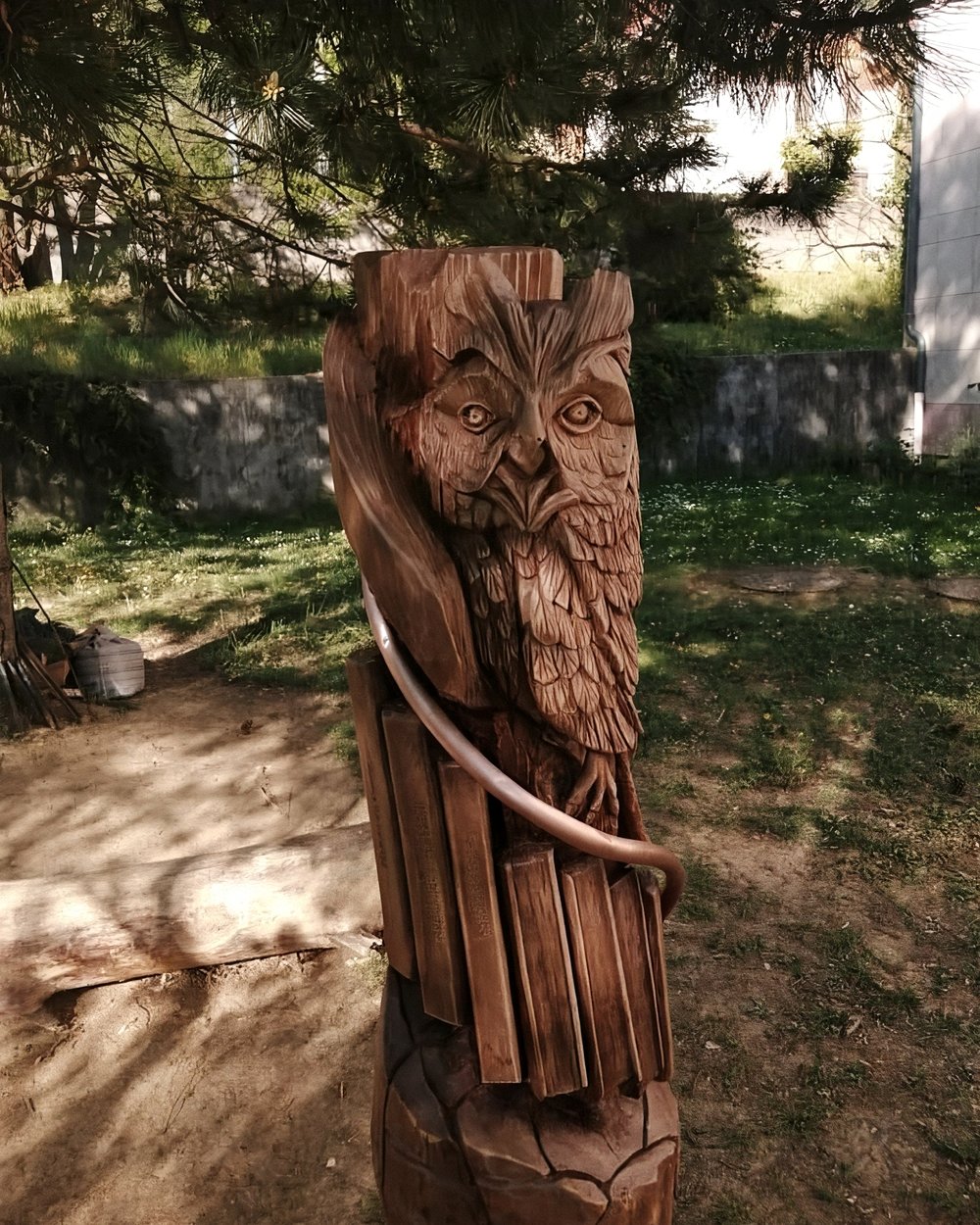 Le même hibou vu de face, sur son tronc
