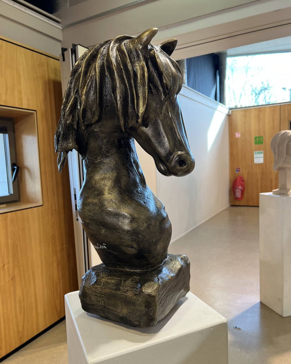 Tête de cheval à la crinière sculptée, patine sombre